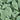 Conradi+Kaiser - Kolorierung: Hellgrün / Artikelnummer: 105030xx1